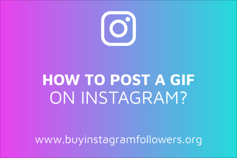 How to Post a GIF on Instagram? (Detailed Guide – 2020)