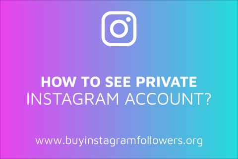 How to See a Private Instagram Account? (Make Yours Safer)
