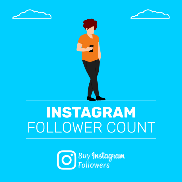 Instagram Follower Count